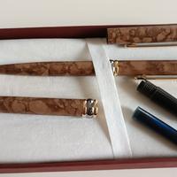 2 PENNE IRIDIUM POINT GERMANY STILOGRAFICA+ROLLER