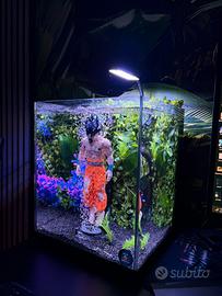 Acquario Dragon Ball (GOKU)