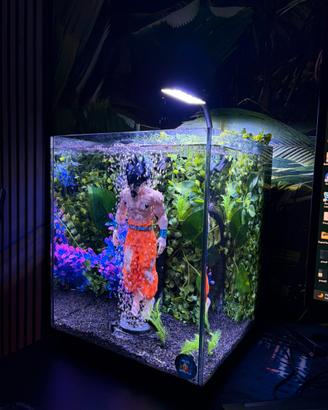 Acquario Dragon Ball (GOKU)