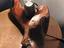 Immagine 2