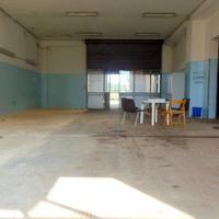 Oleificio - Pedalino