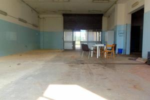 Oleificio - Pedalino