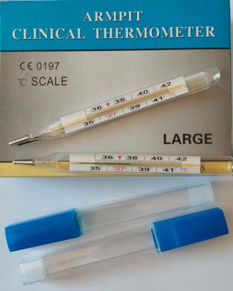 Set di 2 termometri clinici ascellari, vintage