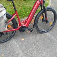 Bici elettrica