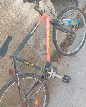 Bicicletta n 26