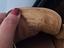 Immagine 6