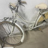 Bicicletta  tipo olandese