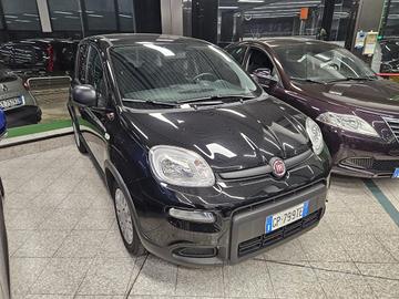 FIAT Panda 1.0 FireFly S&S Hybrid Black edition