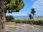 Immagine 12