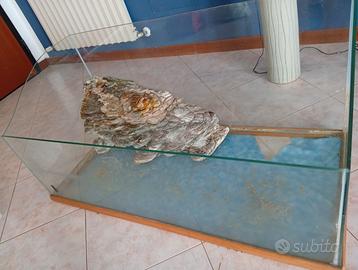 Acquario per tartarughe/pesci