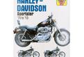 Manuale di Servizio Riparazione Haynes Harley-Davi