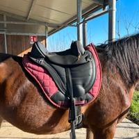 Sella Barefoot per cavallo
