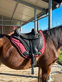 Sella Barefoot per cavallo