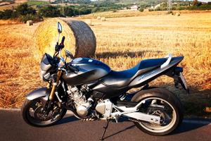 Honda Hornet 600 - 2006
