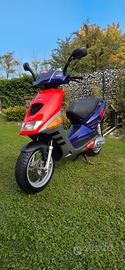 Aprilia sr replica Reggiani