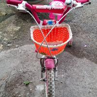 Bici Schiano da bambina misura 14