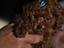 Immagine 3