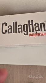 Callaghan 