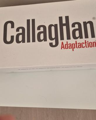 Callaghan 
