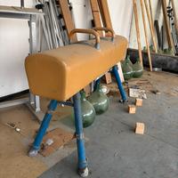 Cavallo per ginnastica artistica