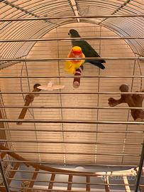 Inseparabili
