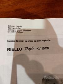 Caldaia a basamento a metano 