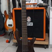 Basso Warwick 5