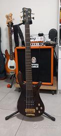 Basso Warwick 5