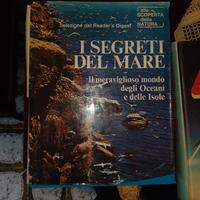 I segreti del mare