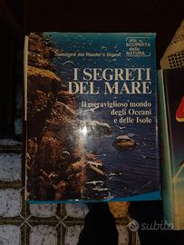 I segreti del mare