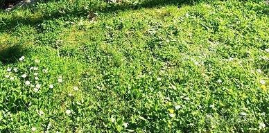 Villa a Carmignano, 7 locali