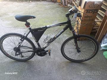 Rampichino donna alt.1,65