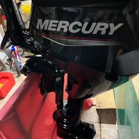 Mercury 15 cv 4 tempi