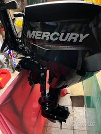 Mercury 15 cv 4 tempi