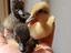 Immagine 1