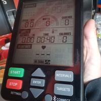 Rogue Echo Bike Console (2 pezzi) NUOVE