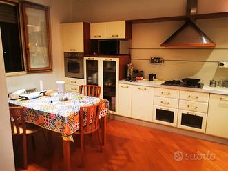 Guidonia centralissimo