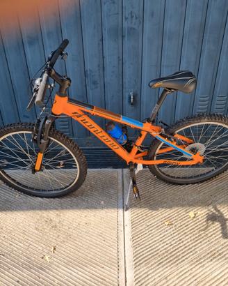 biciclette