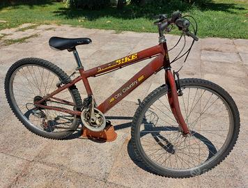 mountain bike 