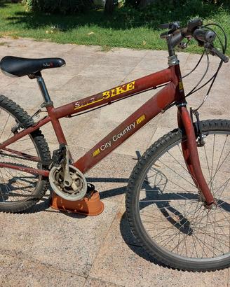 mountain bike 