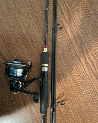Canna da pesca spinning e mulinello