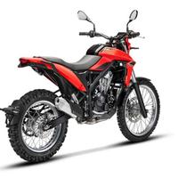 Beta Alp 4.0