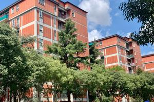 Appartamento Bologna [Cod. rif 3336733VRG]
