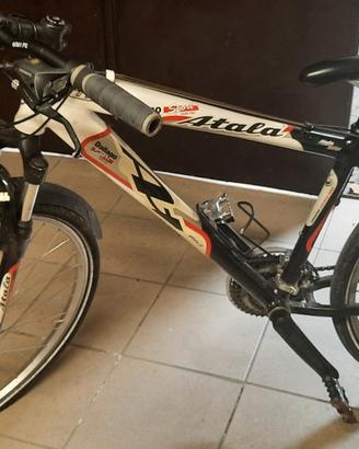 Rampichino Atala wap - telaio 46