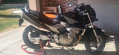 Hornet 600 