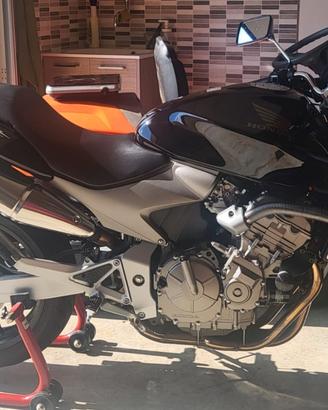 Hornet 600 