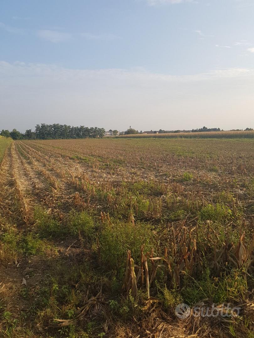 Terreno agricolo di 6300 mq a Castano Primo - Vista 4