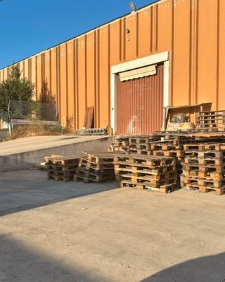 Capannone -zona industriale Olbia