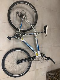 Lombardo kalahoo 100 26”