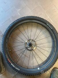 ROVAL CONTROL SL CARBON OFFSET